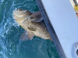 Southern country fishing charters 143