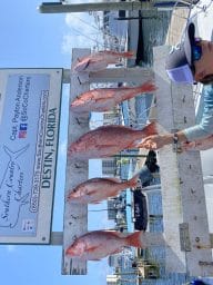 Southern country fishing charters 167