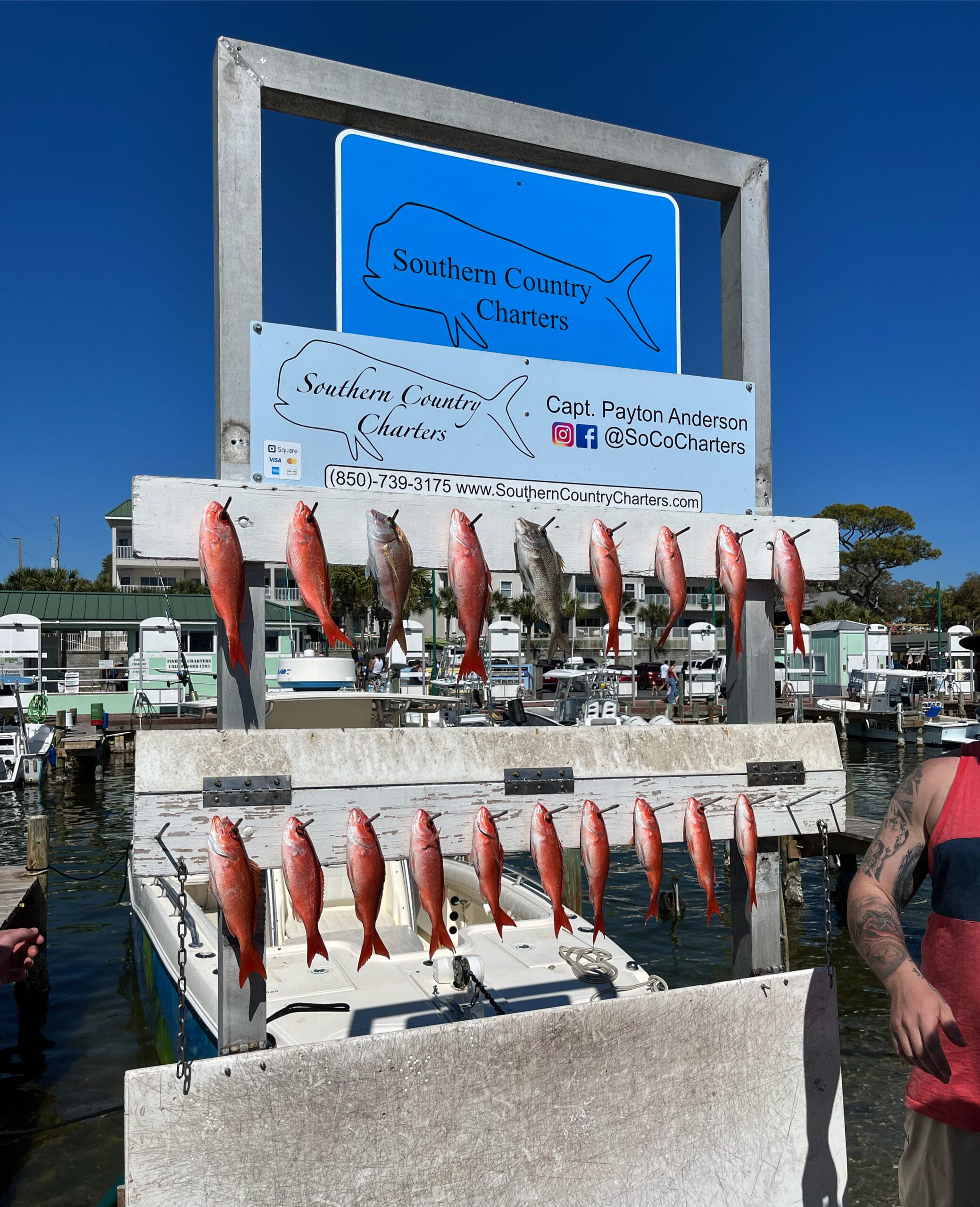 Photo from a Destin, FL fishing charter week of
